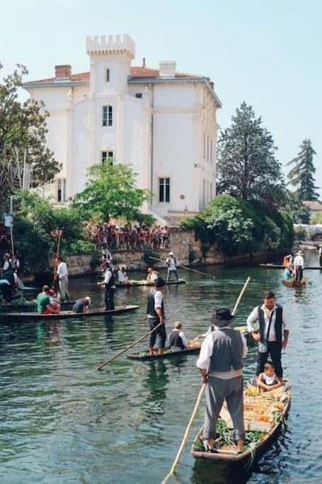 Chez Franck Et Gisele Apartment LʼIsle-sur-la-Sorgue Екстериор снимка